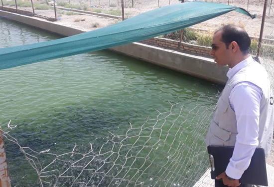 بازدید بهداشتی استخر پرورش ماهی قزل آلا در گناباد 